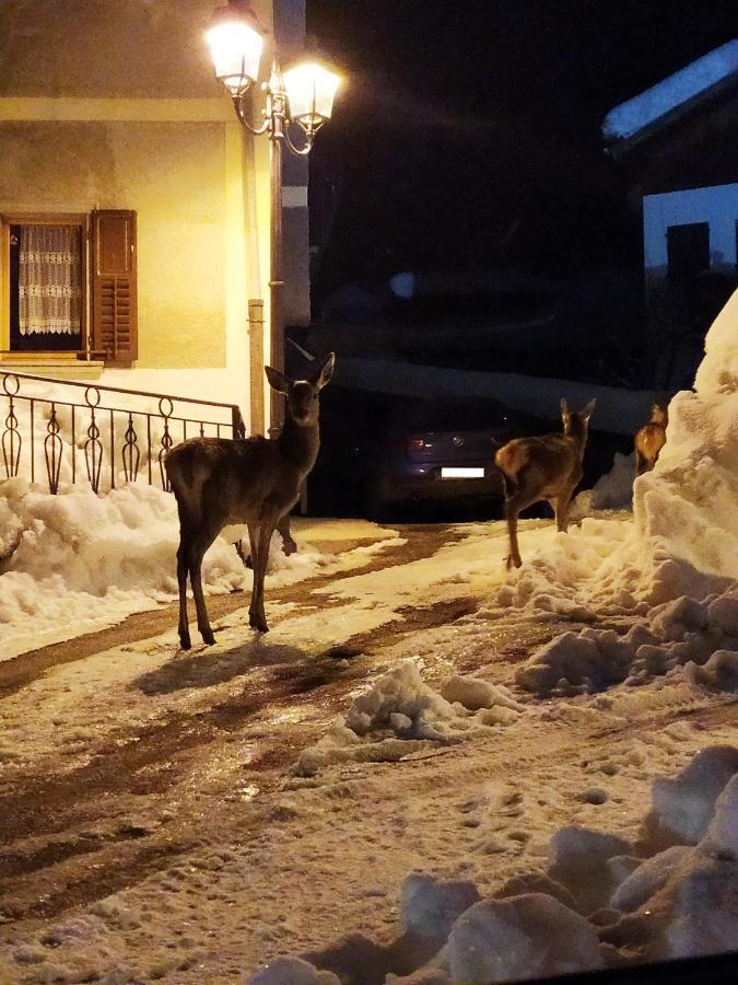 Siora Lina Appartamenti Vigo di Cadore Exterior foto